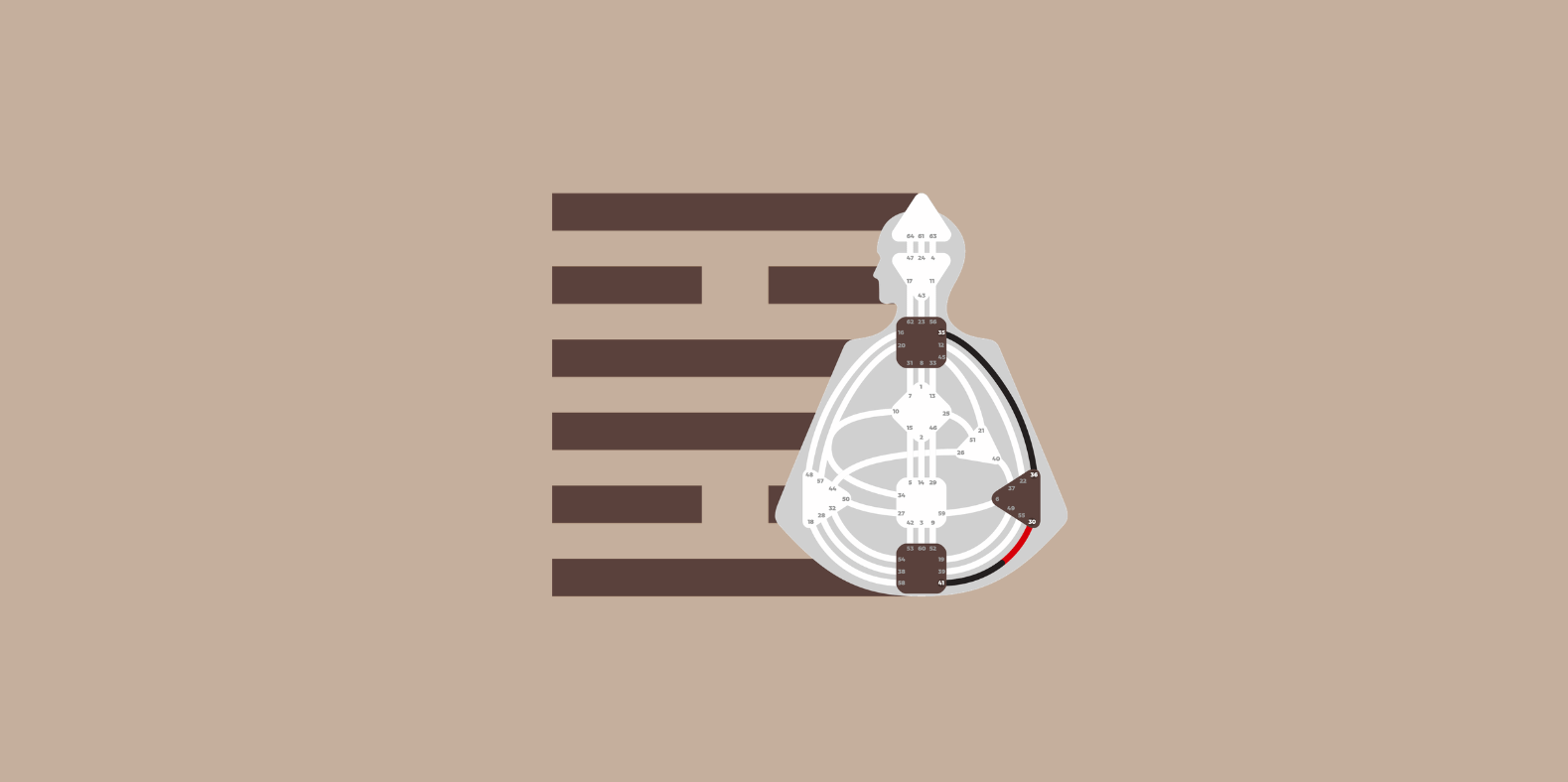 Understanding Hexagram Line Values in Human Design