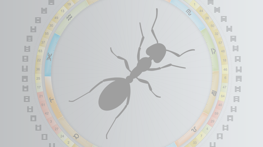 Eusociality: The Common Link between Human and Insect
