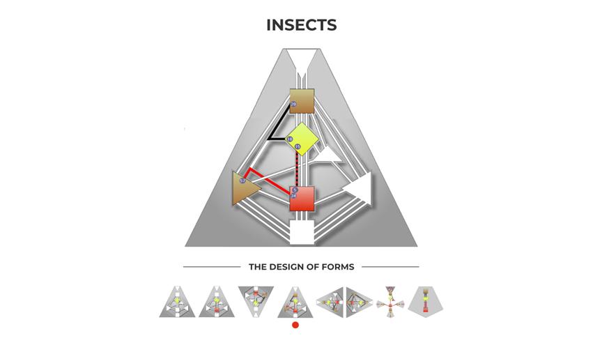 Insects