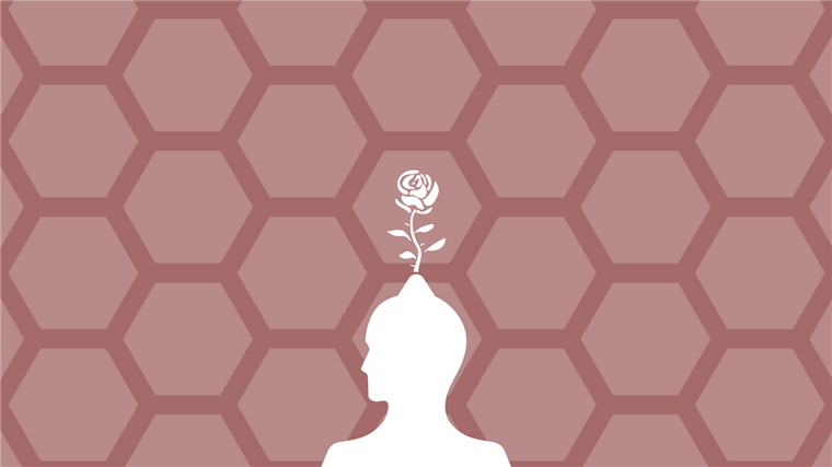 Plants and the Pattern of Life