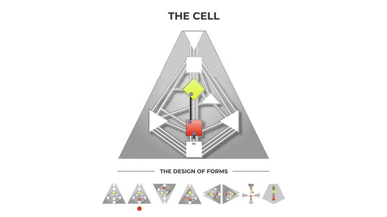 The Single Cell