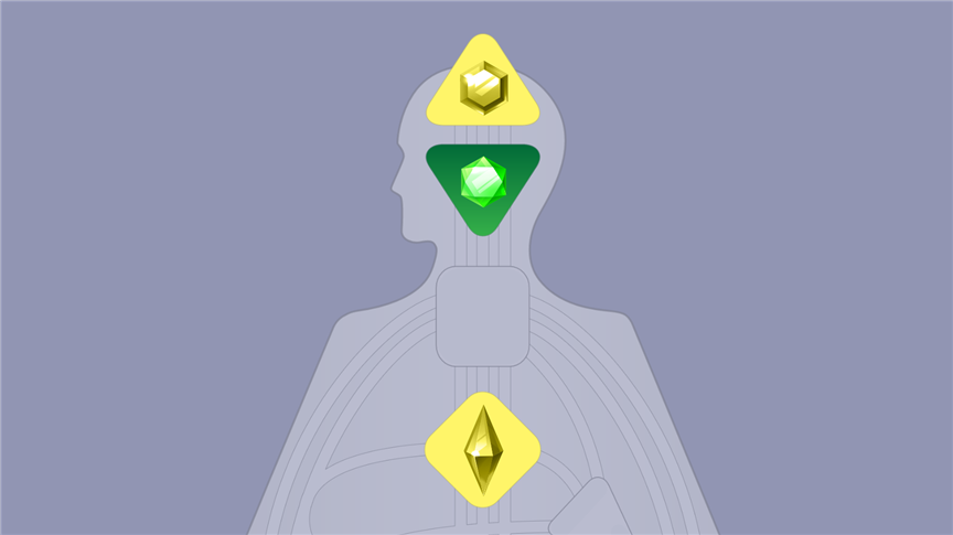 The Personality Crystal, Design Crystal and the Magnetic Monopole