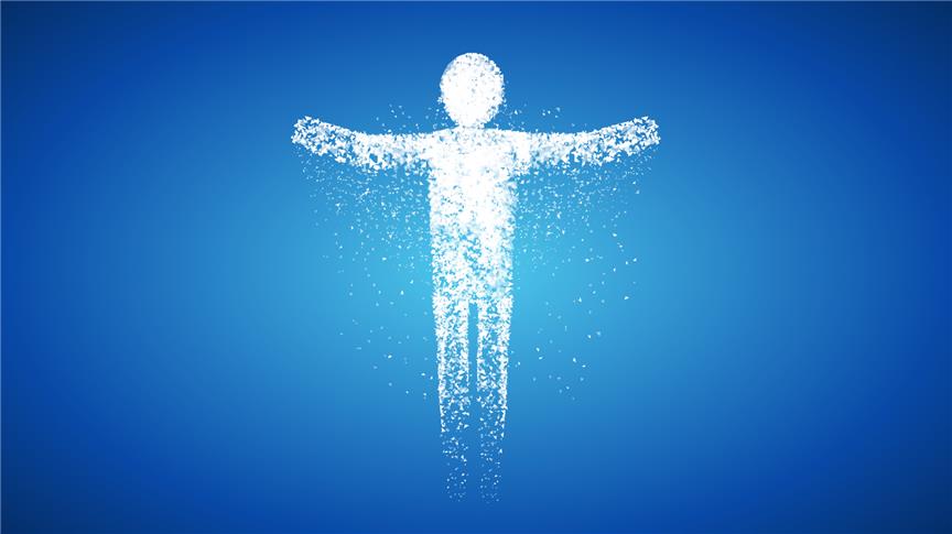 The Transformation of the Form