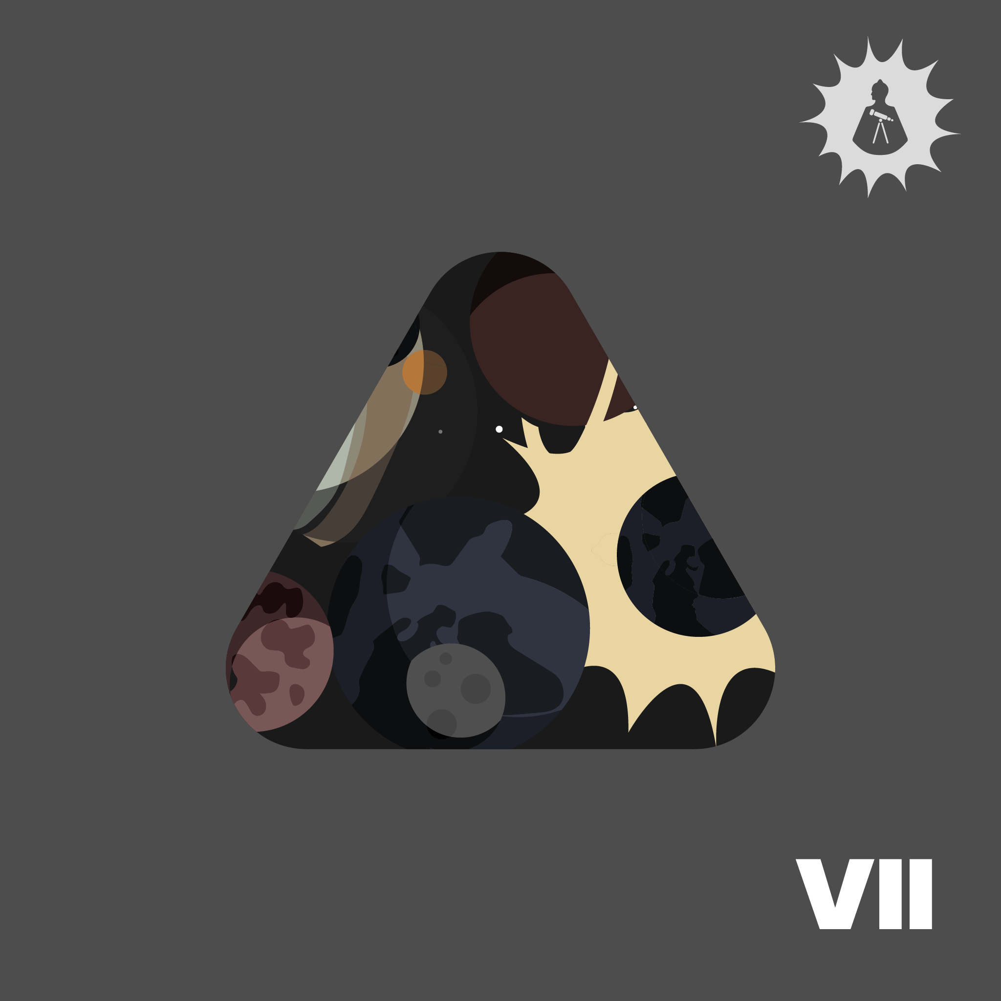 Rave Cosmology 7: The Nature of the Stars