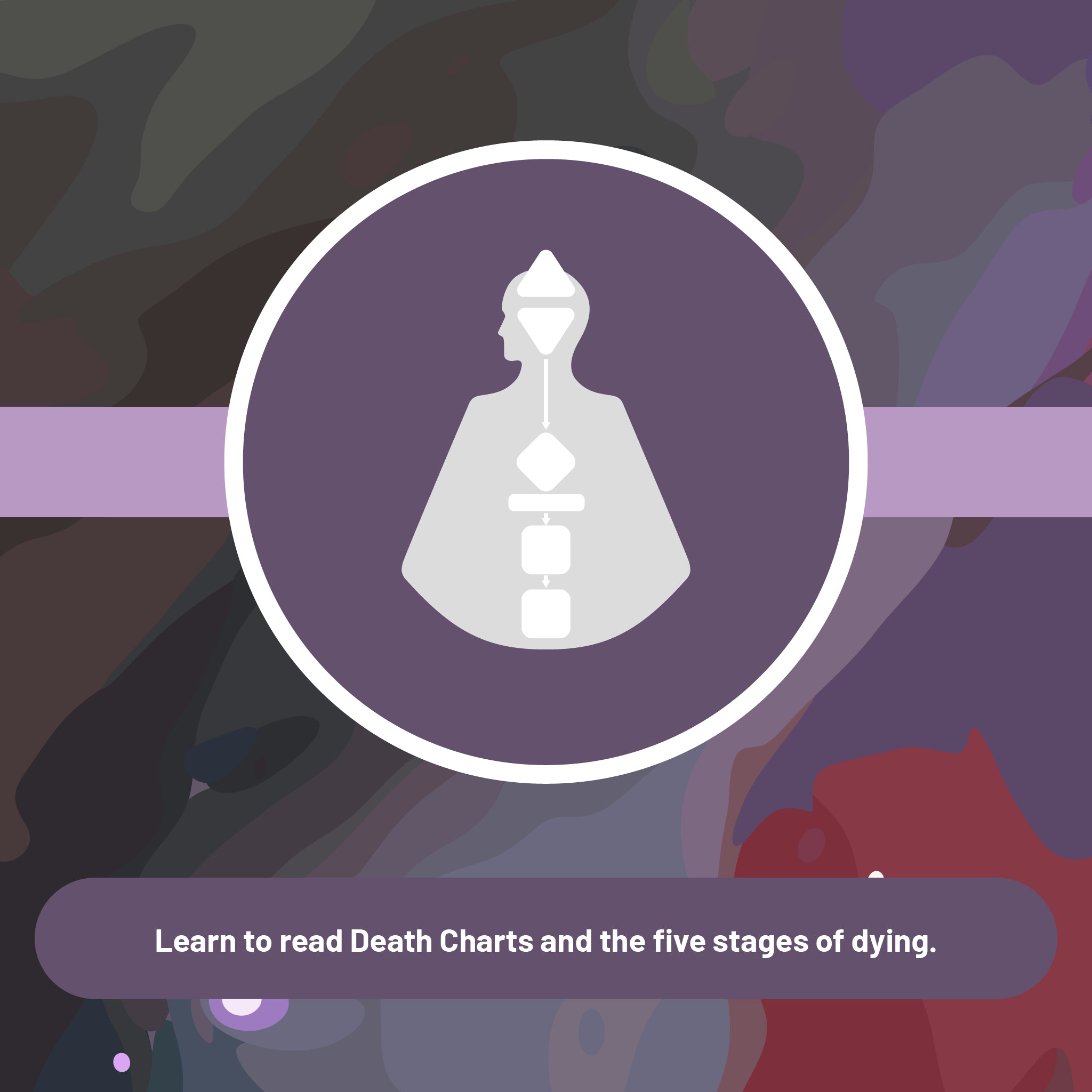 Extended Curriculum 4: Death and Bardo