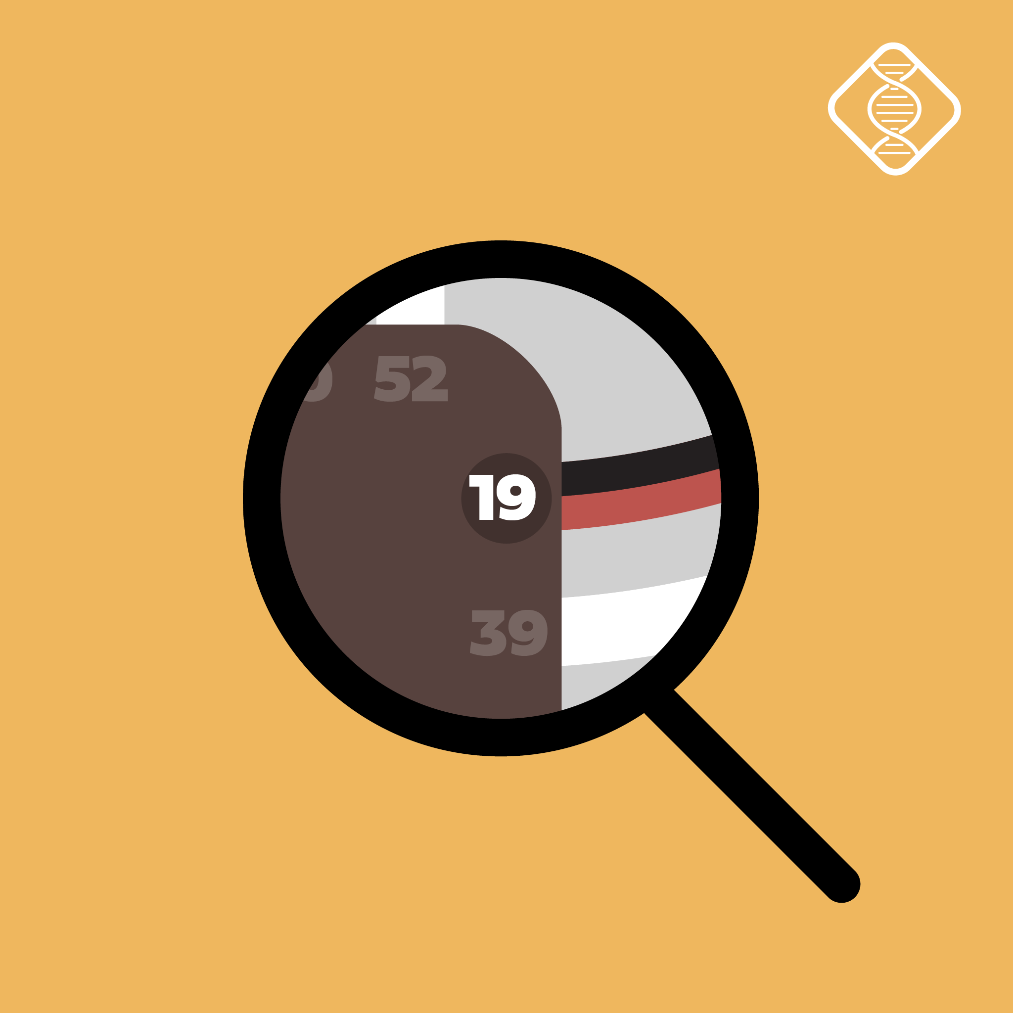 The Mystery of the 19th Gate