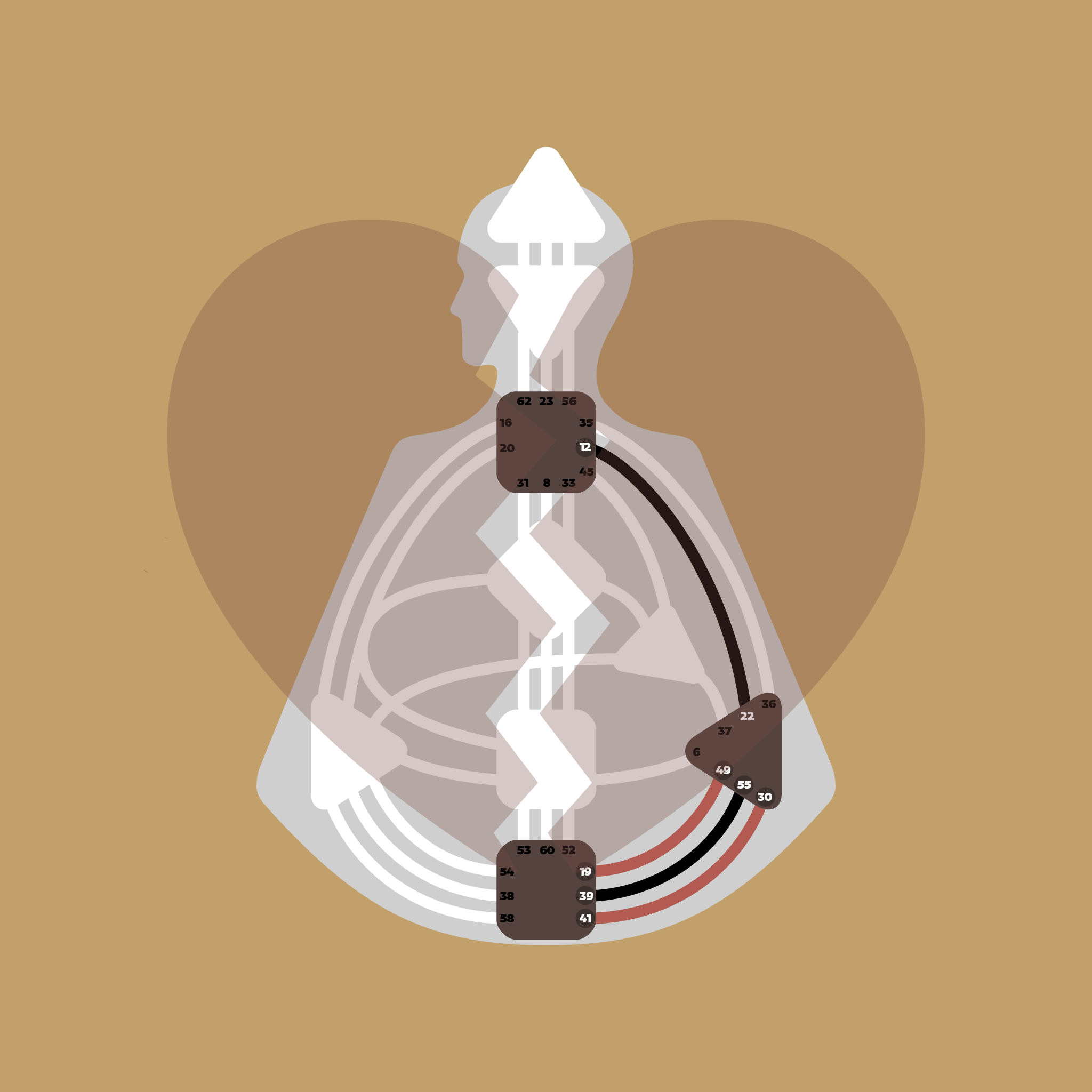 The History and Future of Unrequited Love