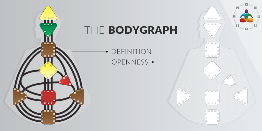 human design bodygraph