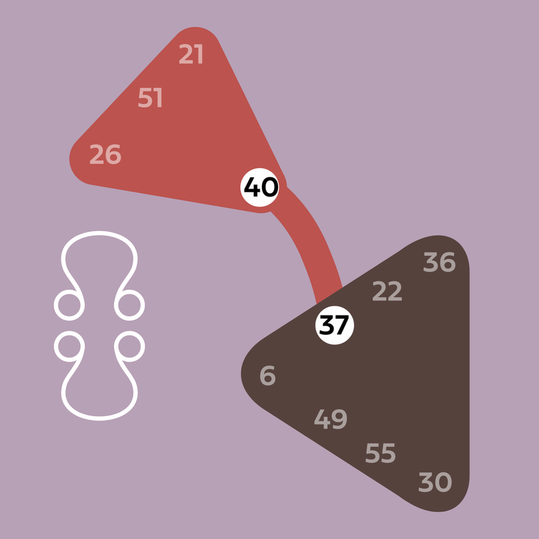 The (40-37) Nodal Polarity in 2026