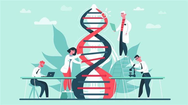 Human Design is Your Genetic Code