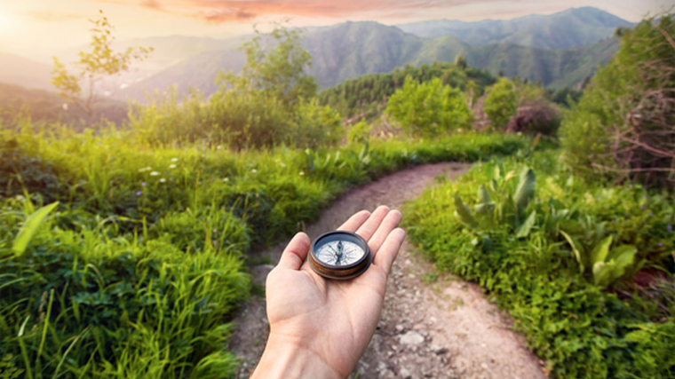 The Deconditioning journey - Trouble in Paradise