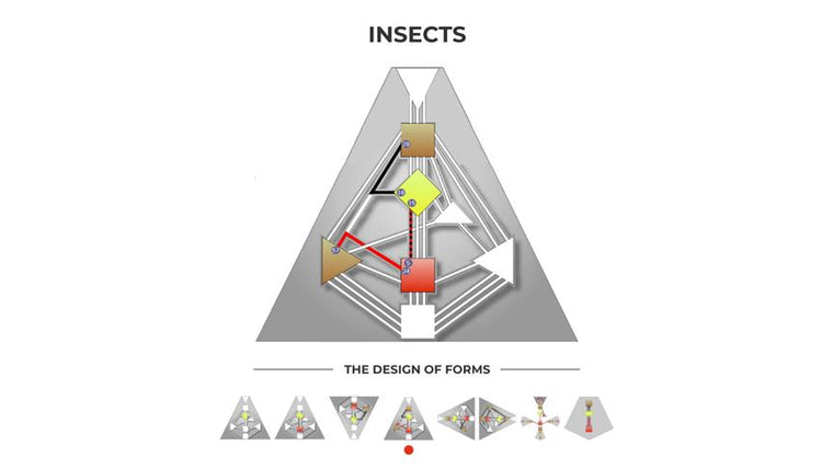 Insects