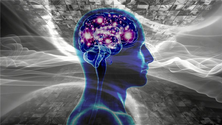 How to Nourish Your Difference