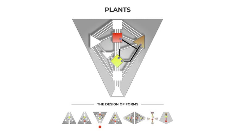 Plants