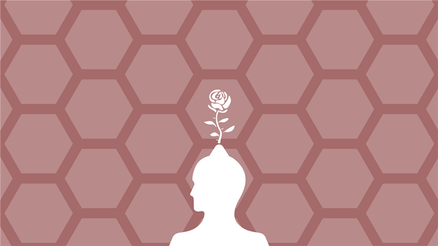 Plants and the Pattern of Life