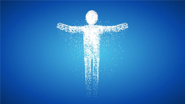 The Transformation of the Form