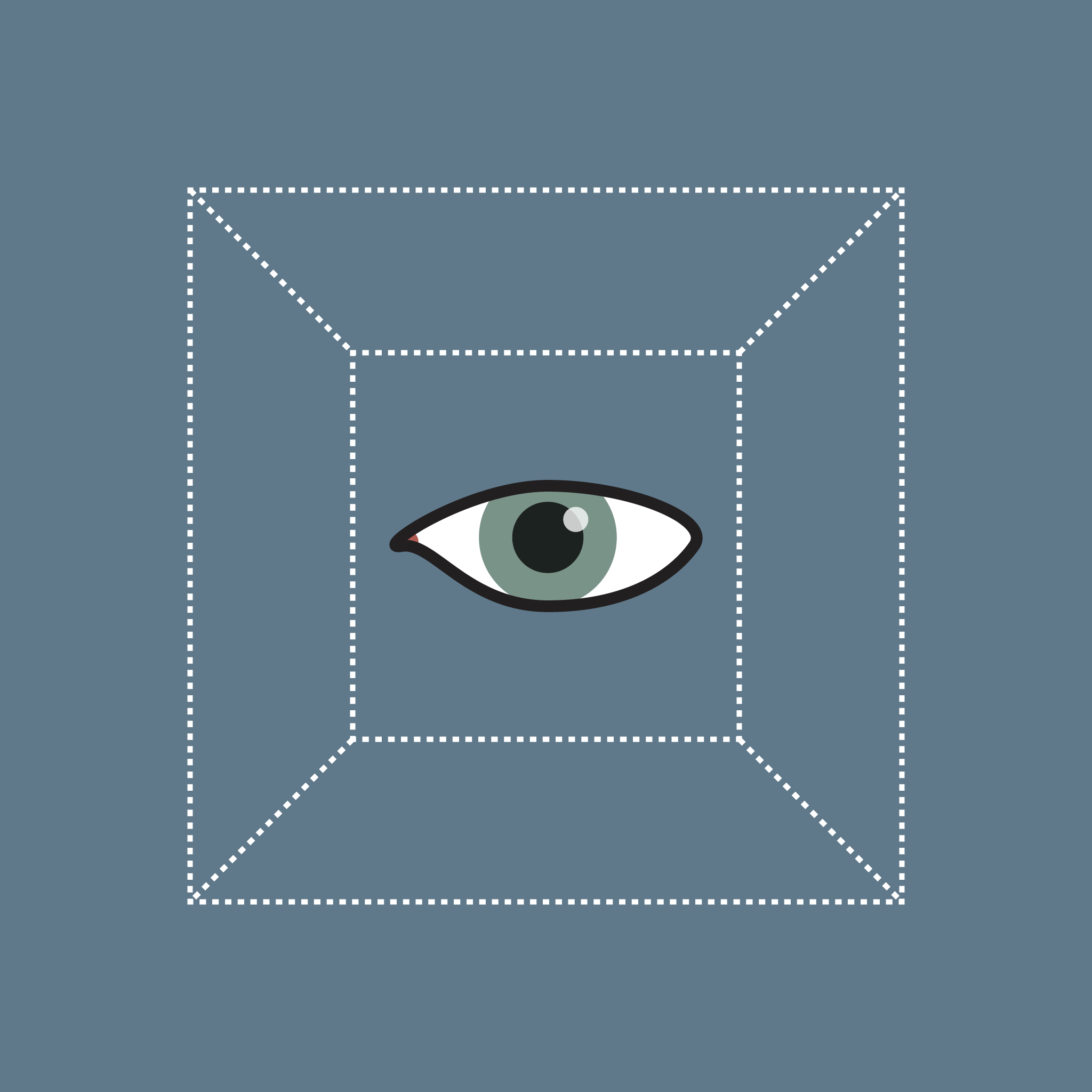 Perspective and Enlightenment