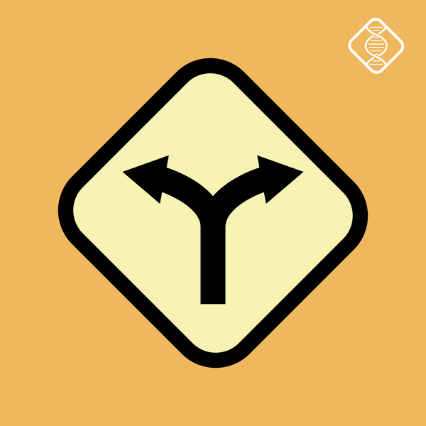 The Witness Generation — Ra Uru Hu course thumbnail