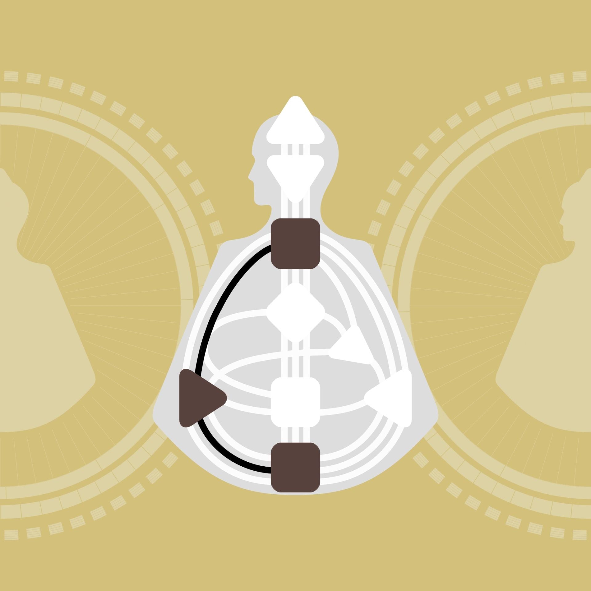 The Spleen: From 'Who am I' to 'I am'