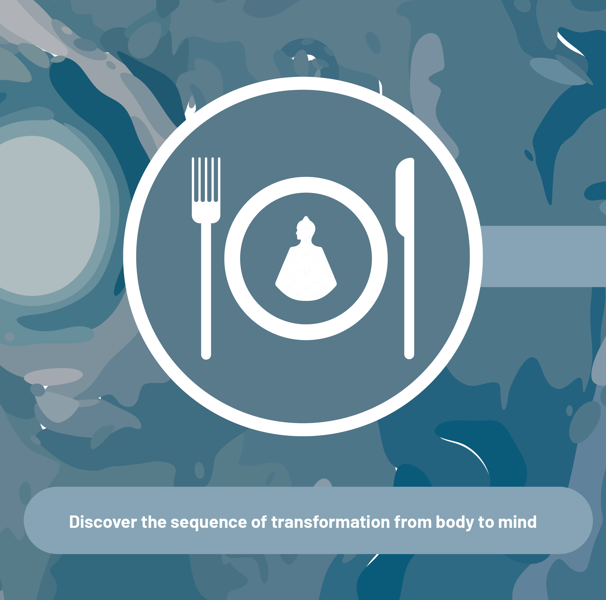 Advanced 2: The Four Transformations