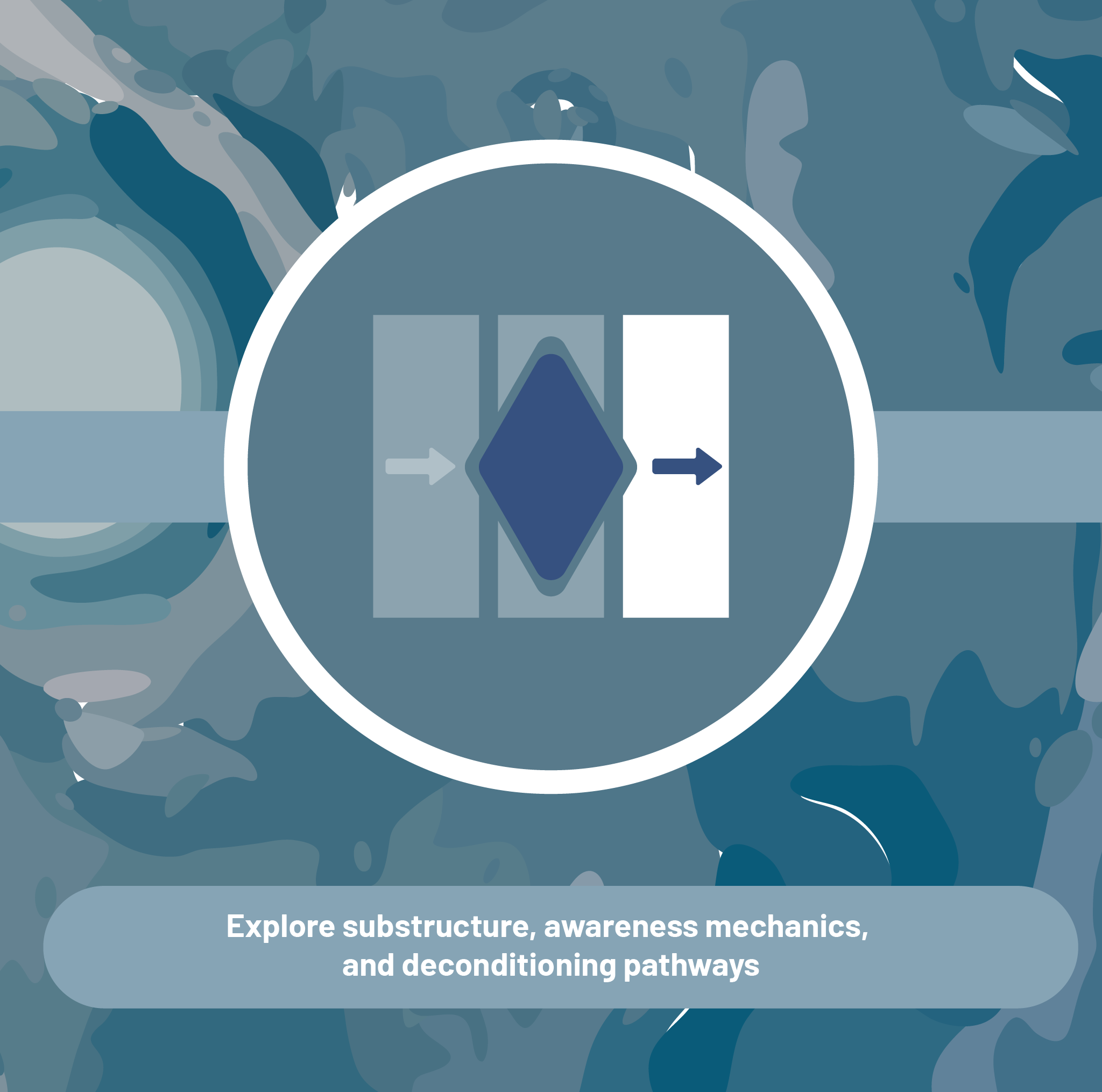Advanced 2: The Four Transformations