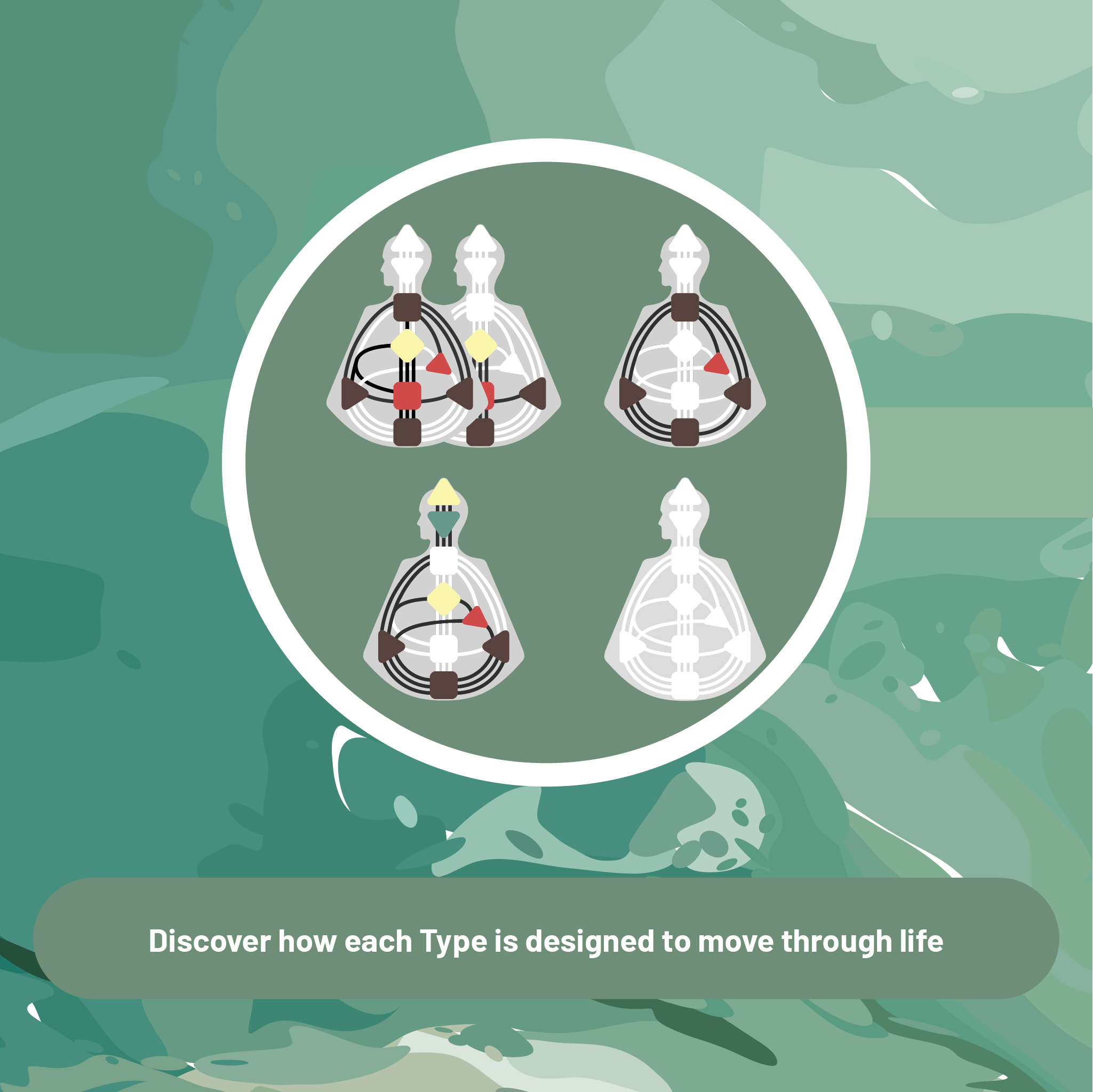 Beginner 2: Type, Strategy, and Inner Authority
