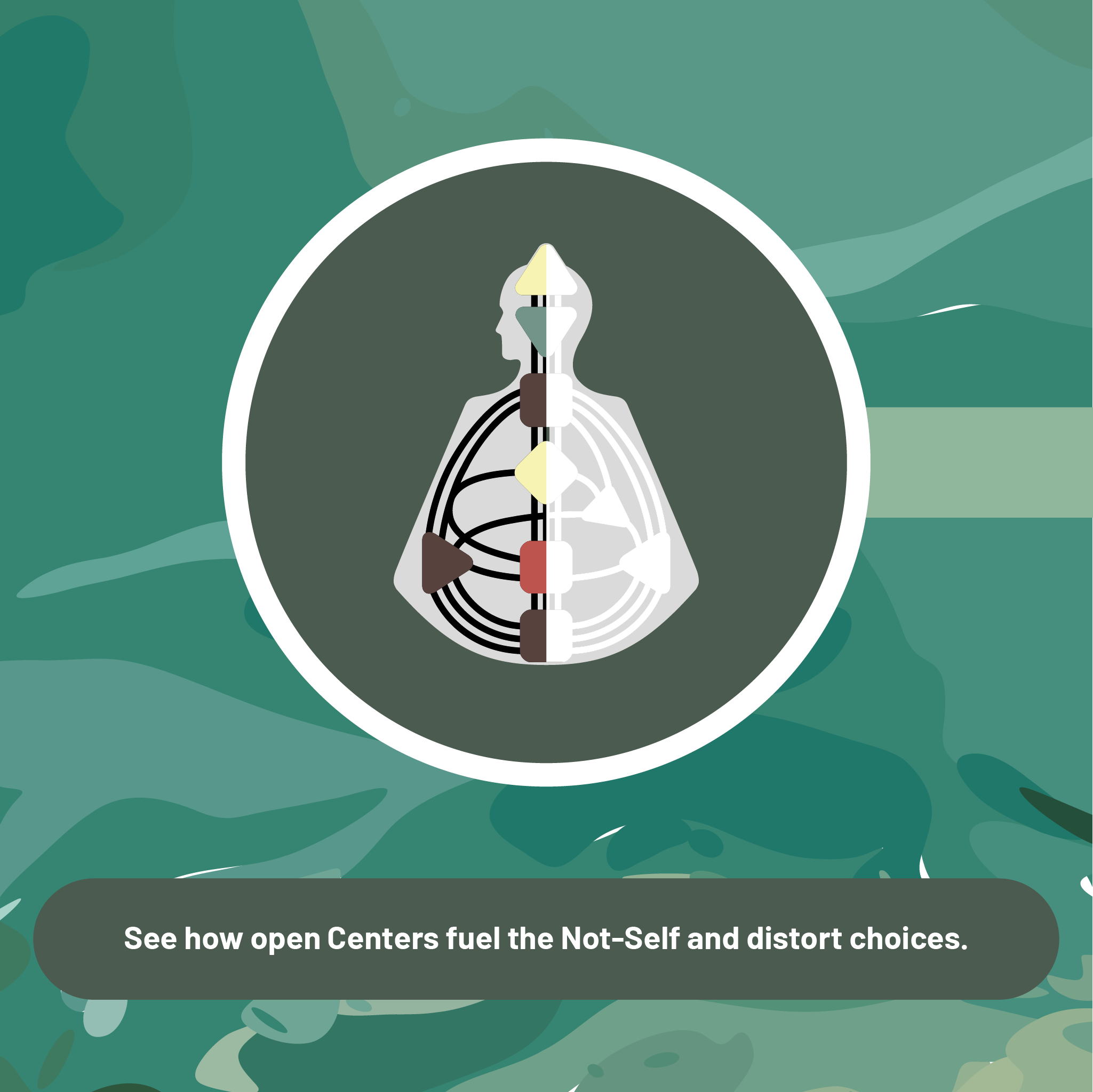 Beginner 3: The Not-Self and Conditioned Mind