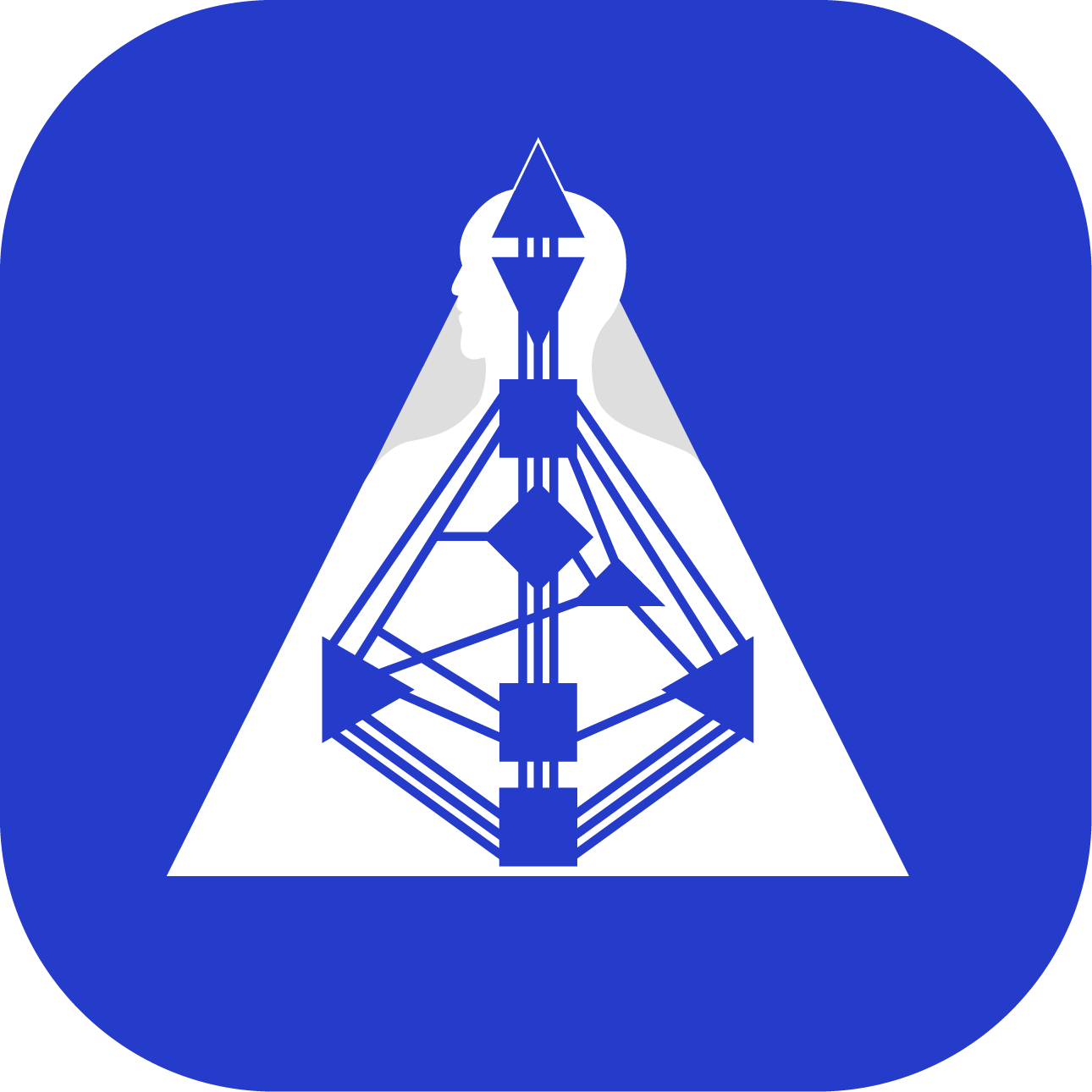 Maia Mechanics Imaging (MMI)